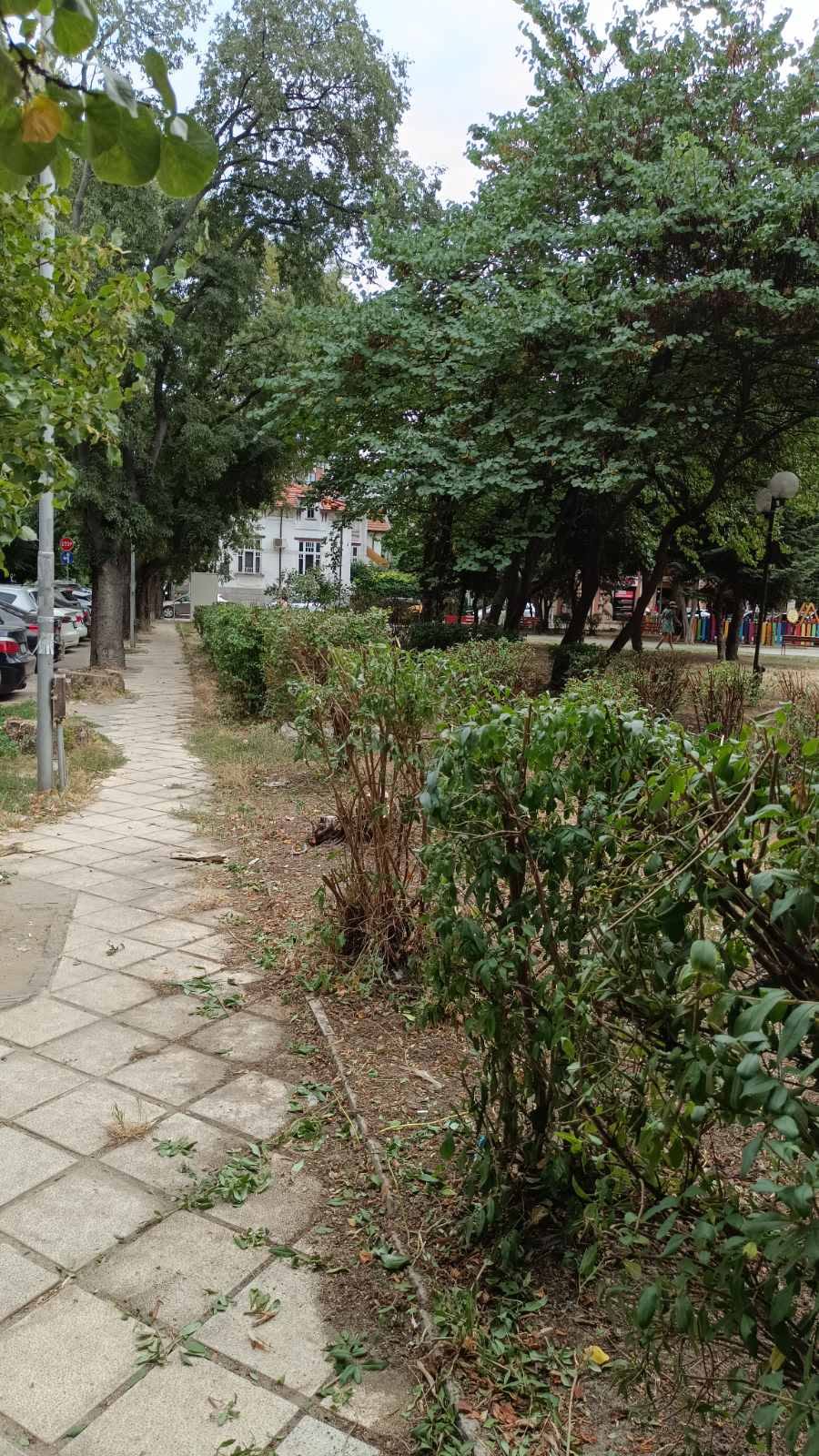 Почистване на детската площадка до храма „Св. Петка“