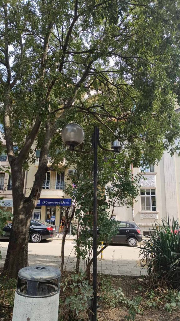 Окосена зелена площ край площадката до храма „Св. Петка“