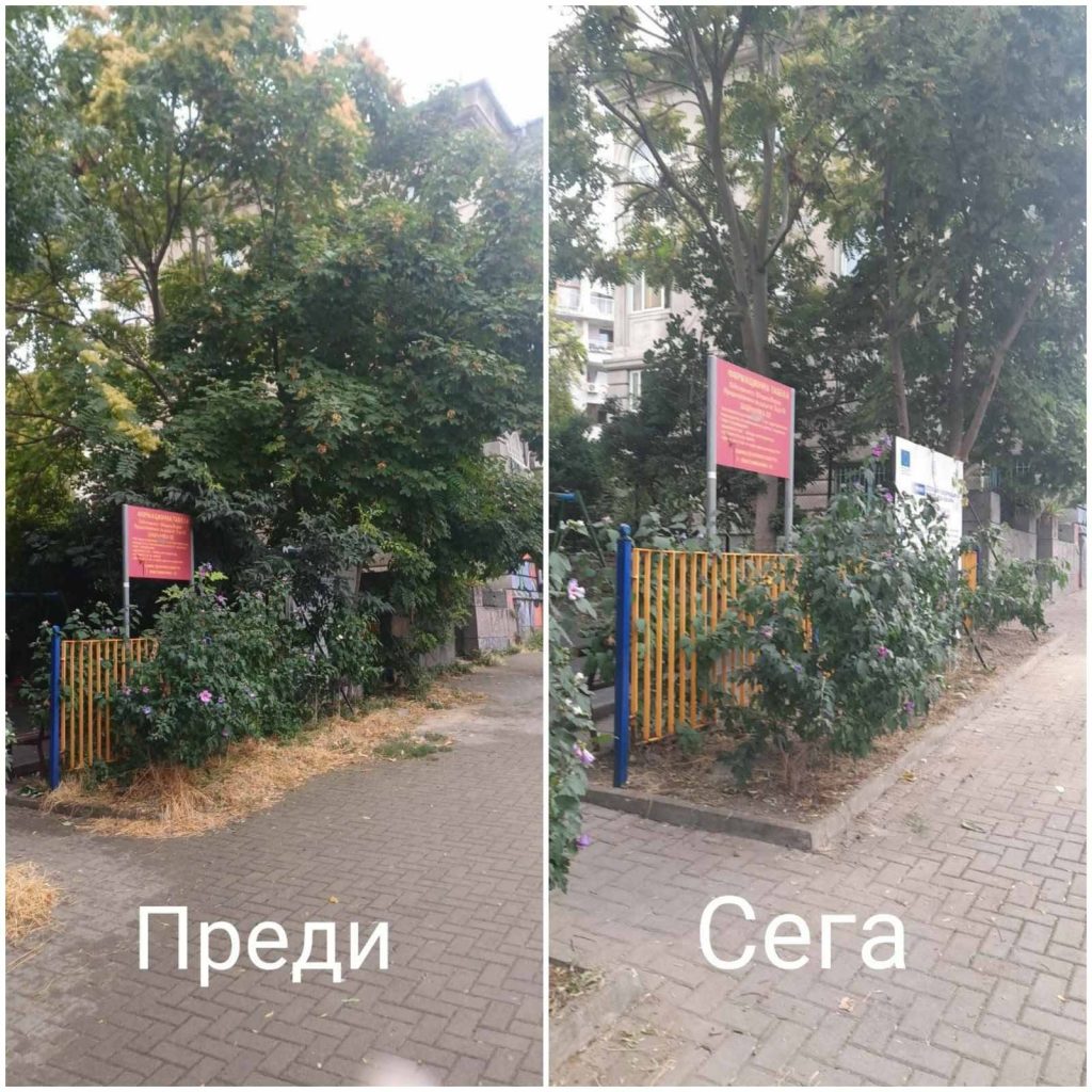 Поддържана зелена площ край детска площадка