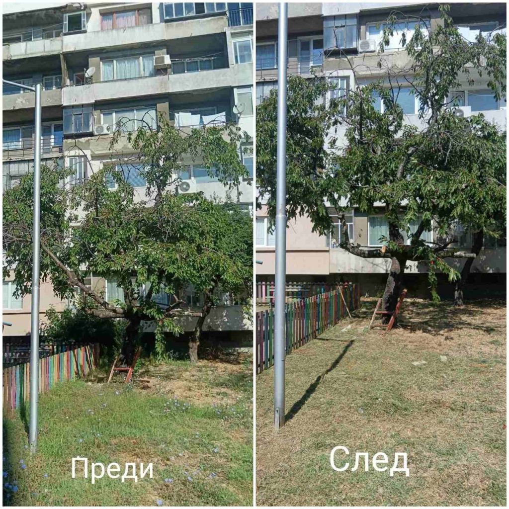 Окосена и почистена зелена площ край детска площадка