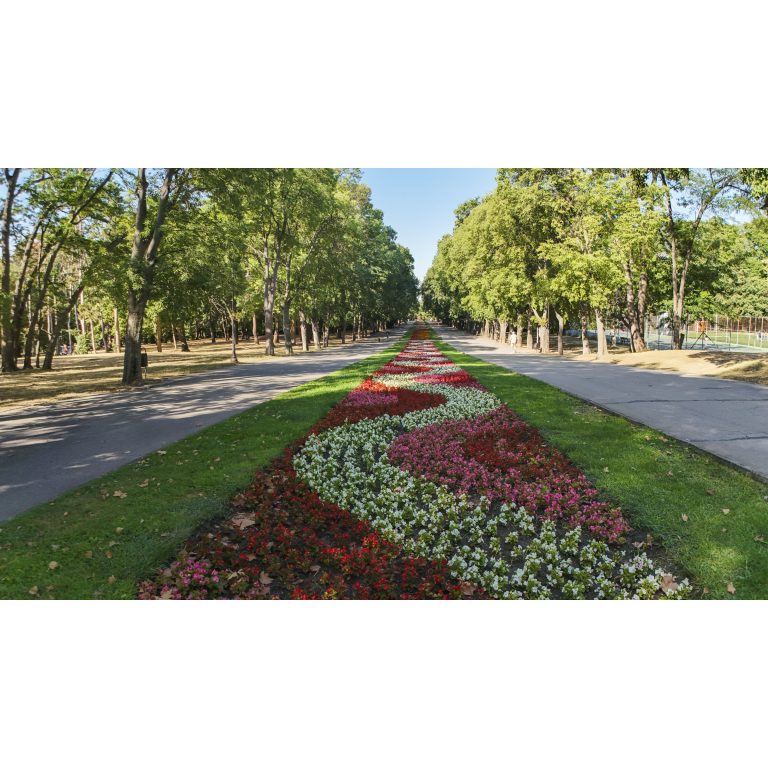 Морската градина 2